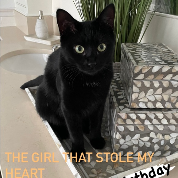 Meet your Posher, Stephanie ๐๐ - Picture 6 of 10